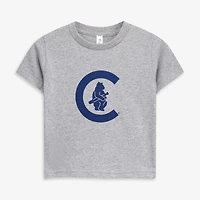 Ensemble de deux t-shirts pour tout-petits, doux comme du raisin, gris chiné, collection Cooperstown des Chicago Cubs