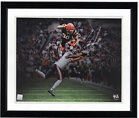 Photo dédicacée de Chase Brown (Cincinnati Bengals) « 16 x 20 » (Hurdle Spotlight)