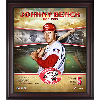 Profil de carrière encadré de Johnny Bench, Cincinnati Reds, 15" x 17"
