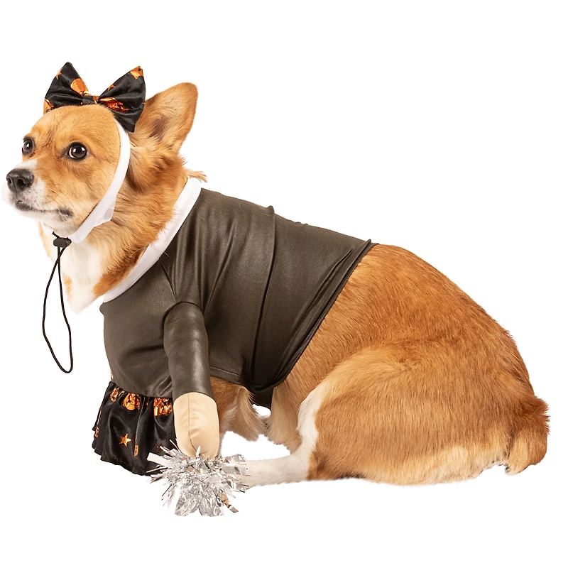 Costume de chien joie des Cleveland Browns