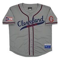 Men's Rings & Crwns #10 Gray Cleveland Buckeyes Mesh Button-Down Replica Jersey
