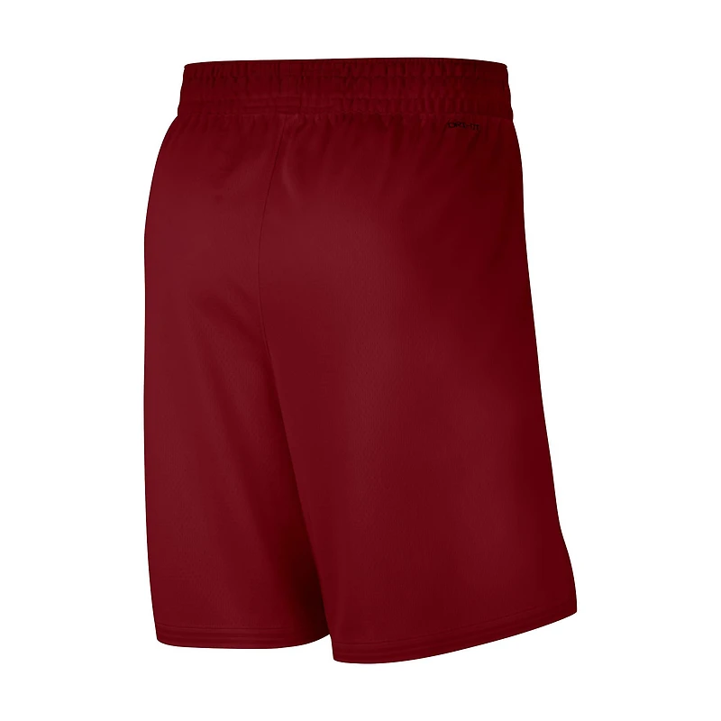 Men's Nike Red 2019/20 Cleveland Cavaliers Icon Edition Swingman Shorts