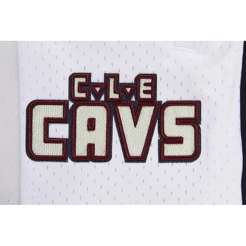 Men's Pro Standard Black Cleveland Cavaliers 2023/24 City Edition DK Shorts