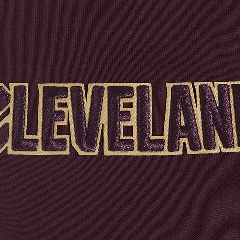 Sweat à capuche pour homme Pro Standard Wine Cleveland Cavaliers Area Code
