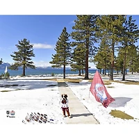 Bernie le Saint-Bernard Colorado Avalanche non signé 2021 en plein air au lac Tahoe Photographie