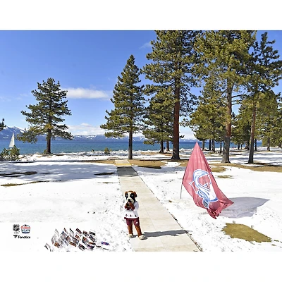Bernie the St. Bernard Colorado Avalanche Unsigned 2021 Outdoors at Lake Tahoe Photograph