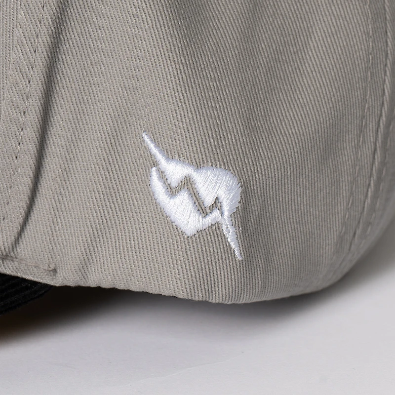 Unisex Gray ILTHY x Columbus Crew Premium Snapback Hat