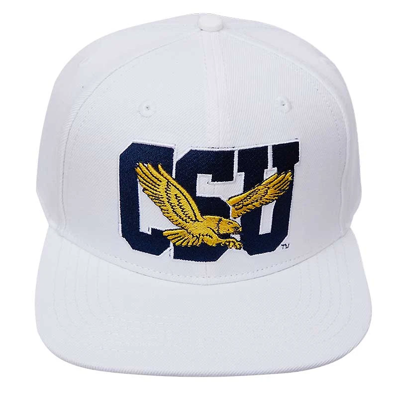 Men's Pro Standard White Coppin State Eagles Wool Snapback Hat