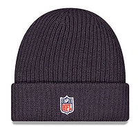 Men's New Era Charcoal Dallas Cowboys 2025 Sideline Cold Weather Cuffed Knit Hat