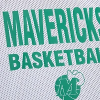 Men's Mitchell & Ness Navy/White Dallas Mavericks Hardwood Classics Reversible Mesh Practice Jersey