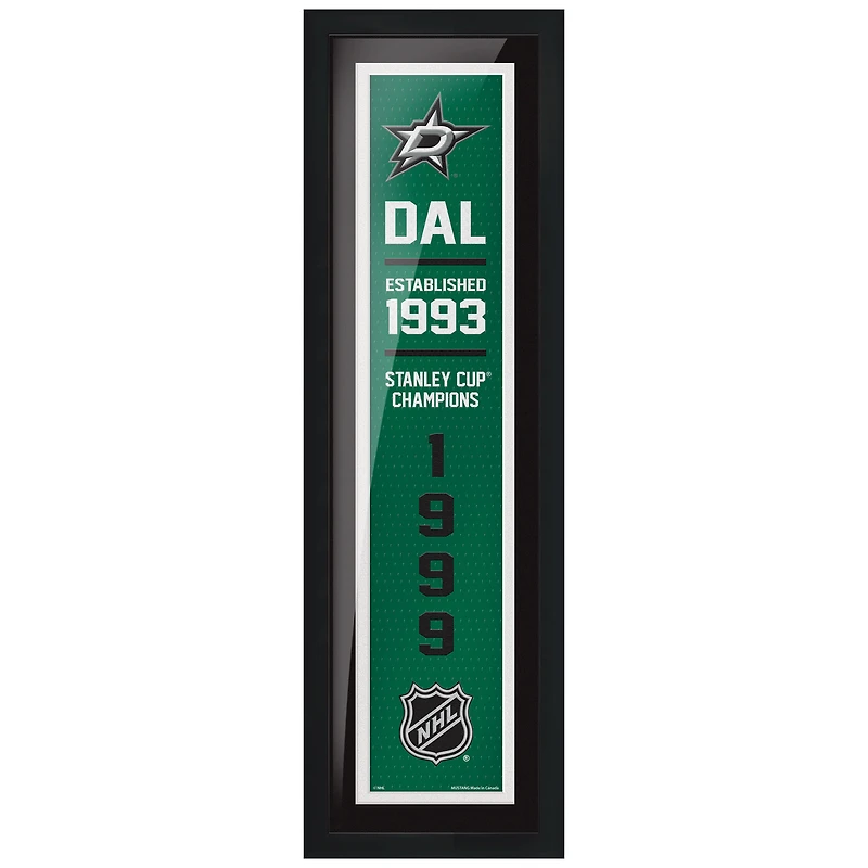 Dallas Stars - Enseigne Empire Encadrée 6'' x 22''