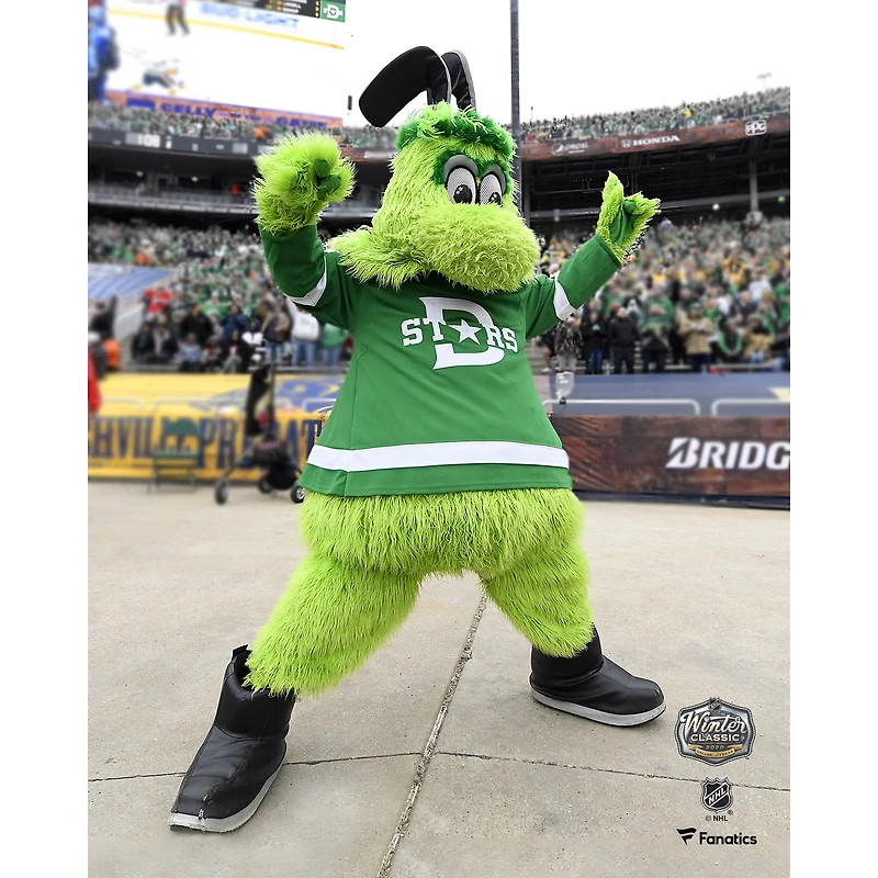 Coffret pour jeunes collectionneurs des Dallas Stars - Comprend une plaque Team Stadium 10,5" x 13", une rondelle de jeu officielle et une photographie de mascotte non signée 8" x 10"