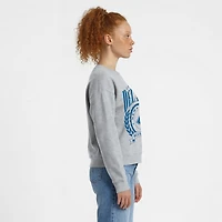 Sweat-shirt à col rond Powerblend gris chiné pour femme, modèle Champion, avec écusson académique des Delaware Fightin' Blue Hens.