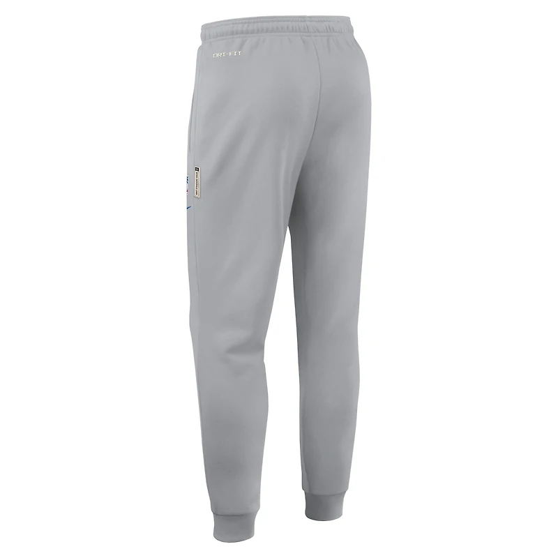 Pantalon Nike Dri-FIT fuselé gris Detroit Lions Sideline Standard Issue pour homme