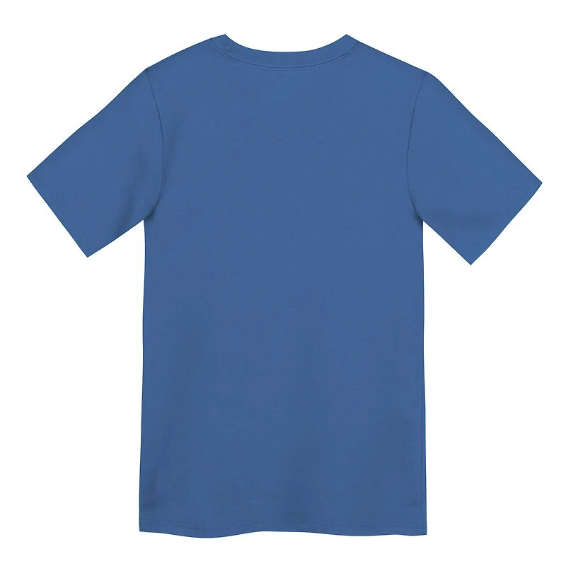 Preschool Nike Blue Detroit Lions Primary Logo Legend Performance T-Shirt