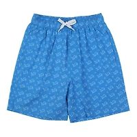 Youth Wes & Willy  Blue Detroit Lions Fleur Swim Trunks