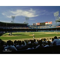 Detroit Tigers Unsigned Old Tiger Stadium General View Photograph