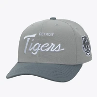 Men's Mitchell & Ness  Gray Detroit Tigers Thunderstorm Head Coach Pro-Crown Adjustable Hat
