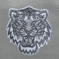 Men's Mitchell & Ness  Gray Detroit Tigers Thunderstorm Head Coach Pro-Crown Adjustable Hat