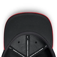 Men's Nike Crimson/Black Detroit Tigers Neon 90s Rise SwooshFlex Hat