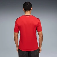 Men's Puma  Red Egypt National Team 2026 Home Replica Jersey