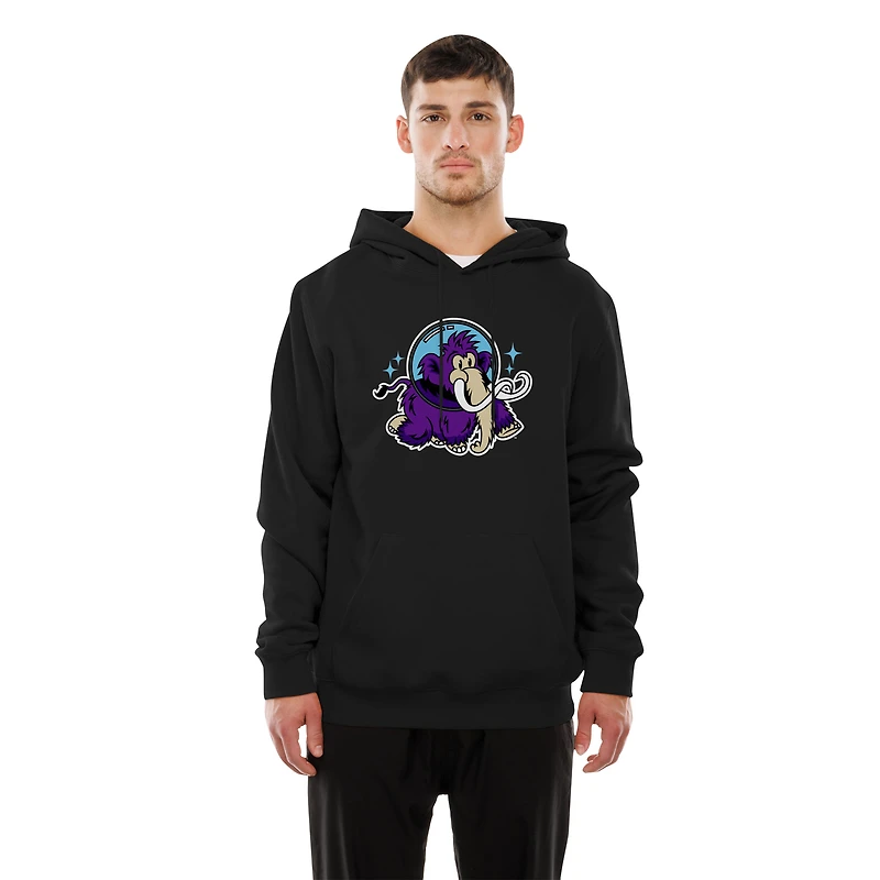 Sweat à capuche en polaire noir New Era pour homme, Erie SeaWolves Moon Mammoths