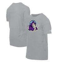 T-shirt gris New Era pour homme, motif Erie SeaWolves Moon Mammoths