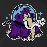 Sweat à capuche en polaire noir New Era pour jeunes Erie SeaWolves Moon Mammoths