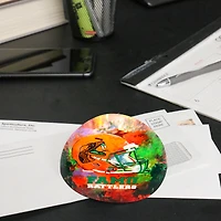 Florida A&M Rattlers Team Pride Dome Paper Weight