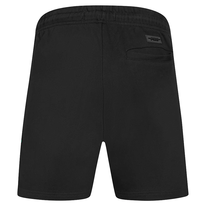 Men's Pro Standard Black Florida A&M Rattlers Crest Shorts