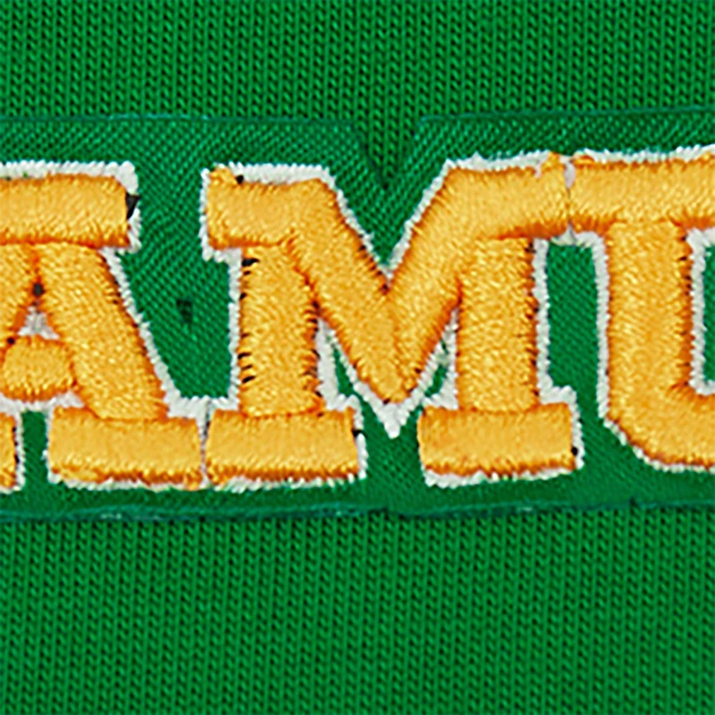 T-shirt boyfriend surdimensionné Pro Standard vert Florida A&M Rattlers Script Tail pour femmes