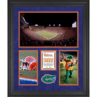 Collage encadré à 3 ouvertures de 20'' x 24'' des Florida Gators Ben Hill Griffin Stadium