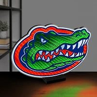 Florida Gators LED Infinity Logo Light
