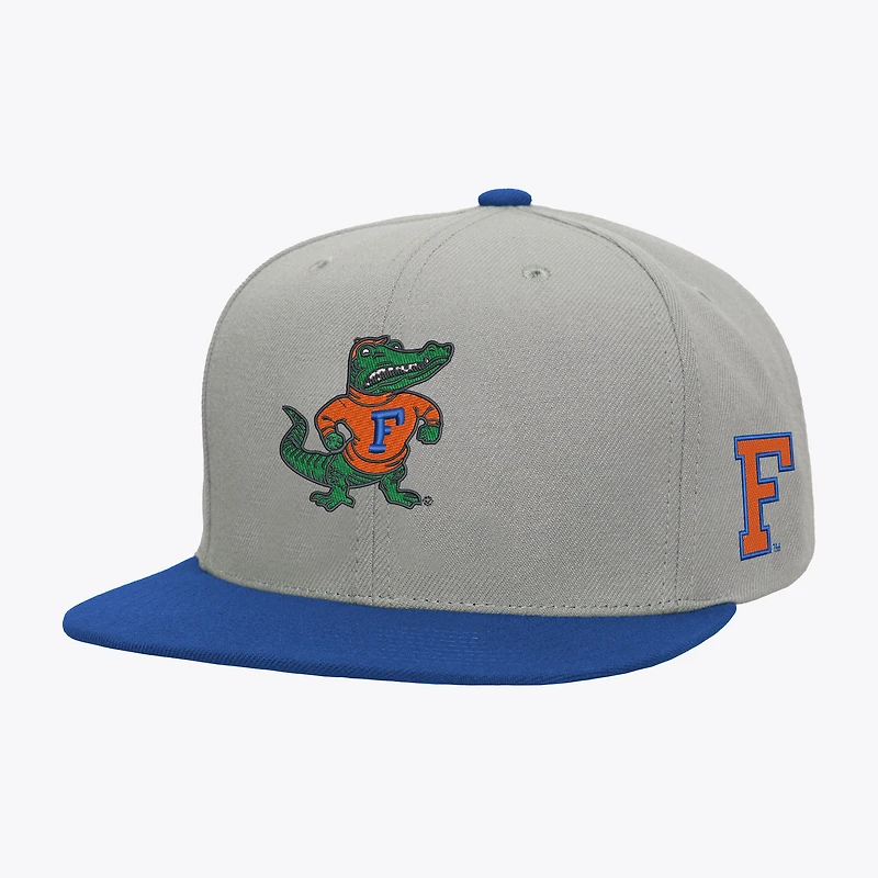Men's Mitchell & Ness Gray/Royal Florida Gators Plaid OG Snapback Hat