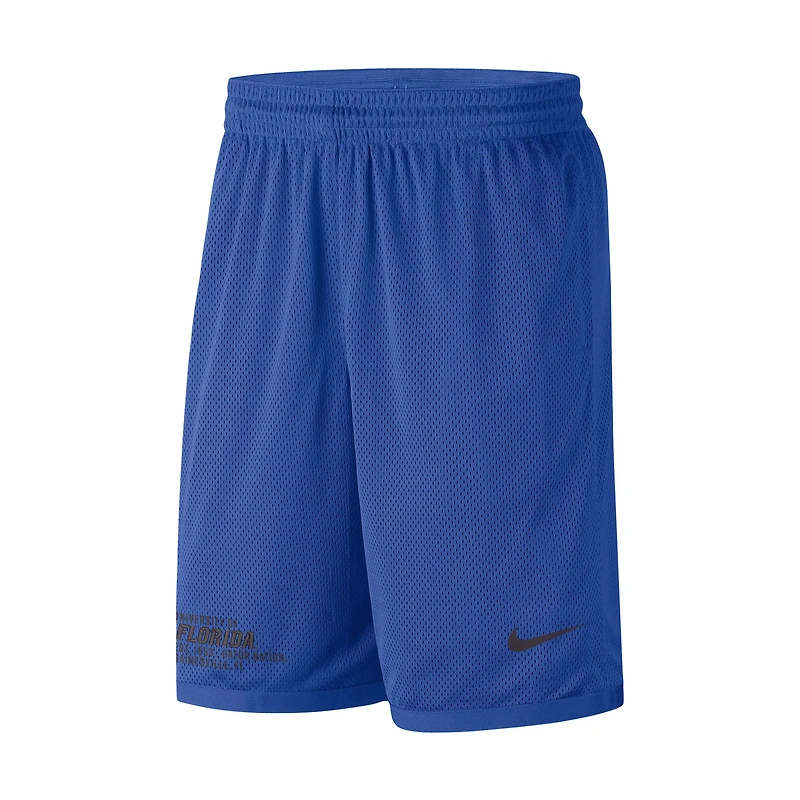 Men's Nike Royal Florida Gators Performance Mesh Shorts