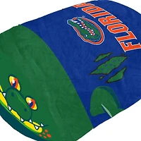 Pegasus Florida Gators Stackable Plushie Mascot Pillow