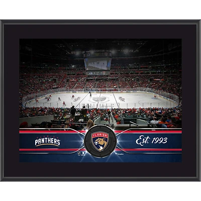 Plaque d'équipe sublimée Panthers de la Floride 10,5" x 13"