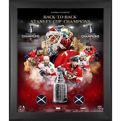 Florida Panthers Back-To-Back Stanley Cup Champions Framed 20" x 24" Dual Game-Used Net Collage with Game-Used Net from the 2024 & 2025 Stanley Cup Final - Limited Edition of 100