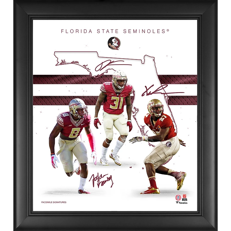 Collage encadré 15" x 17" des fondations de la franchise des défenseurs des Seminoles de l'État de Floride