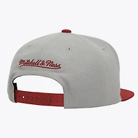Men's Mitchell & Ness  Gray/Garnet Florida State Seminoles Plaid OG Snapback Hat