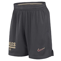Men's Nike Anthracite Florida State Seminoles 2024 Sideline Performance Mesh Shorts