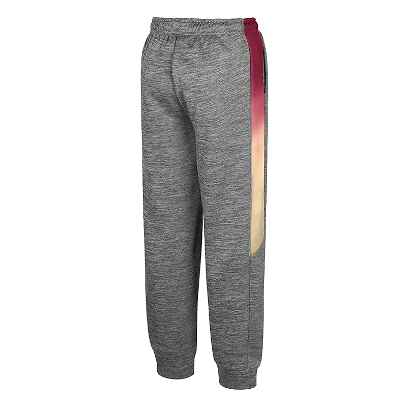 Youth Colosseum Gray Florida State Seminoles The Gang Pants