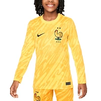Youth Nike  Yellow France National Team 2024 Goalkeeper Replica Stadium Long Sleeve Jersey