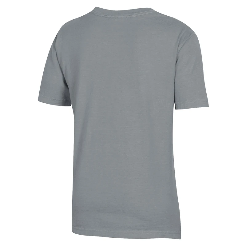 T-shirt gris délavé pour jeunes avec logo Furman Paladins