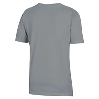 T-shirt gris délavé pour jeunes avec logo Furman Paladins