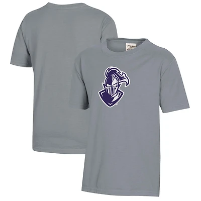 Youth  Gray Furman Paladins Logo Comfort Wash T-Shirt
