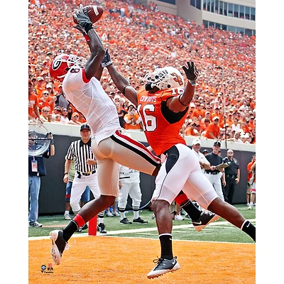 A.J. Green Georgia Bulldogs Unsigned Vertical End Zone Catch Photograph