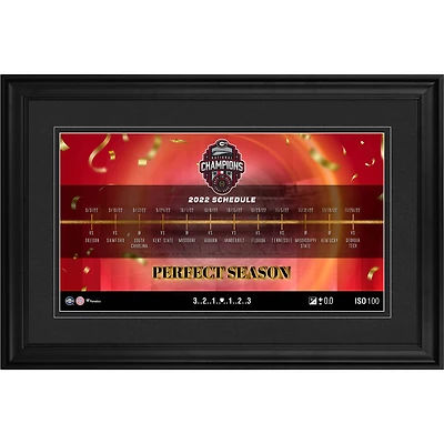 Fanatics Authentic Georgia Bulldogs College Football Playoff 2022 National Champions 10'' x 18'' Timeline Collage