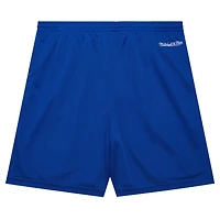 Men's Mitchell & Ness Royal Golden State Warriors Hardwood Classics Gameday Mesh Shorts
