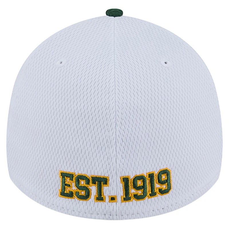 Men's New Era White/Green Green Bay Packers Dashmark Rays 39THIRTY Flex Hat